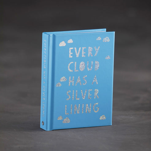 Every Cloud Has a Silver Lining book - product image